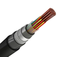 Сигнализационный кабель 30x0.9 мм СБВБВнг(А)-LS ТУ 16.К71-369-2006